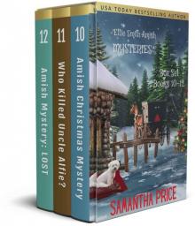 Ettie Smith Amish Mysteries Box Set 4