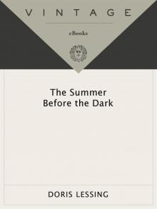 The Summer Before the Dark