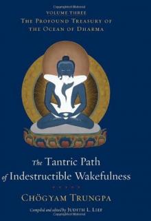 The Tantric Path of Indestructible Wakefulness