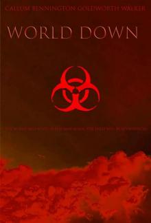 World Down: A Zombie Novel