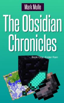 The Obsidian Chronicles, Book One: Ender Rain