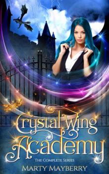 Crystal Wing Academy- The Complete Series