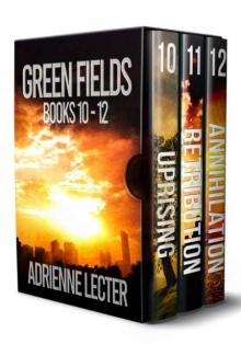 Green Fields Series Box Set | Vol. 4 | Books 10-12