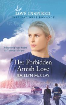 Her Forbidden Amish Love