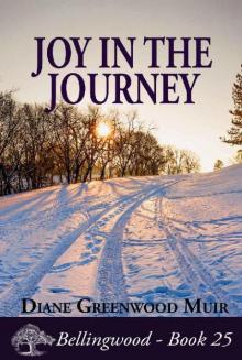 Joy in the Journey