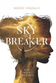 Sky Breaker (Night Spinner Duology)