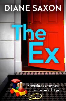 The Ex (DS Jenna Morgan)