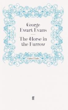 The Horse in the Furrow