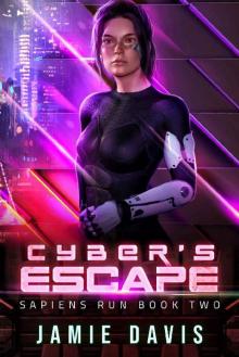 Cyber's Escape