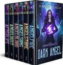 Dark Angel Box Set