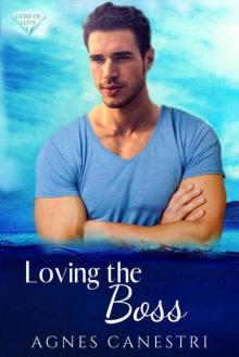 Loving The Boss (Gems 0f Love Book 1)