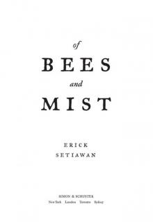 Of Bees and Mist