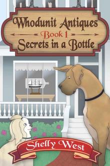 Secrets in a Bottle