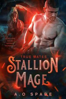 Stallion Mage: True Mates: Mpreg Romance