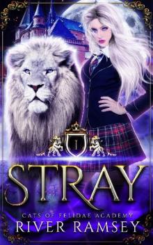 Stray: A Shifter Academy Romance (Cats of Felidae Academy Book 1)