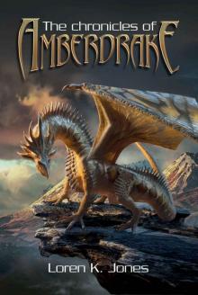 The Chronicles of Amberdrake