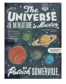 The Universe in Miniature in Miniature