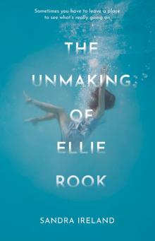 The Unmaking of Ellie Rook