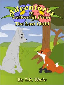 Adventures in Cottontail Pines - The Lost Child