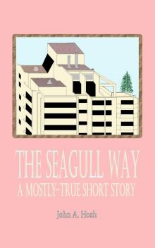 The Seagull Way: A Mostly-True Short Story