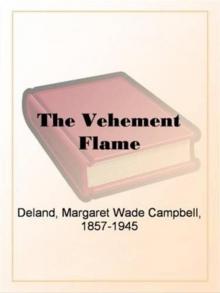 The Vehement Flame