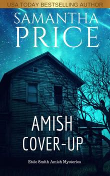 Amish Cover-Up