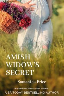 Amish Widow's Secret