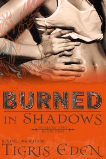 Burned In Shadows