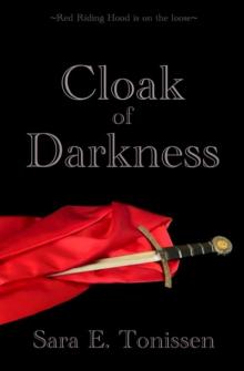 Cloak of Darkness (The Destroyer-Blessed Saga Book 1)