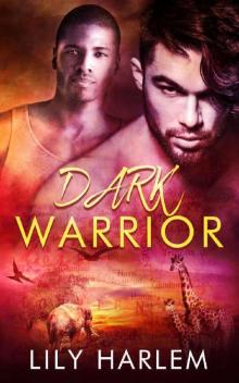 Dark Warrior: Gay Romance