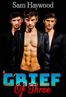 Grief Of Three: Mmm Gay Menage Romance