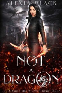 Not a Dragon: Soulmarked: Kiara Ravenlocke Files 1