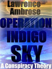 Operation Indigo Sky