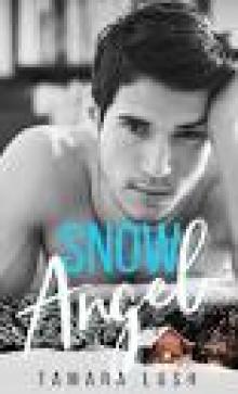 Snow Angel: A Winter Romance