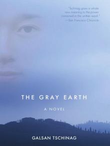 The Gray Earth