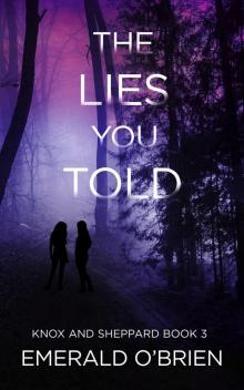 The Lies You Told