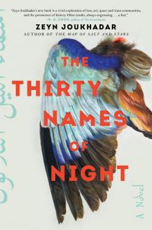 The Thirty Names of Night