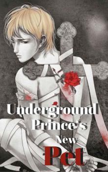 Underground Prince's New Pet: Gay Fantasy Romance