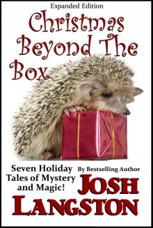 Christmas Beyond the Box