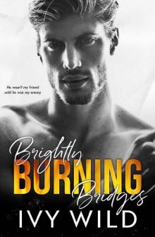 Brightly Burning Bridges: A Bully Romance (Kings of Capital)