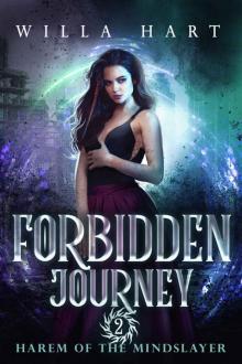 Forbidden Journey