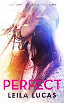 Perfect (Holt Brothers Book 1)