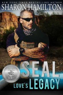 SEAL Love's Legacy (Silver SEALs Book 1)