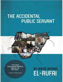 The Accidental Public Servant