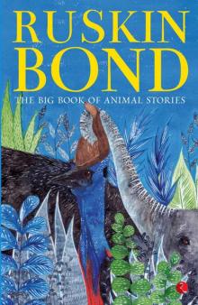 The Big Book of Animal Stories