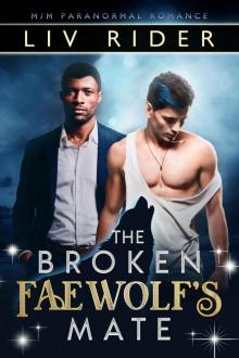 The Broken Faewolf’s Mate