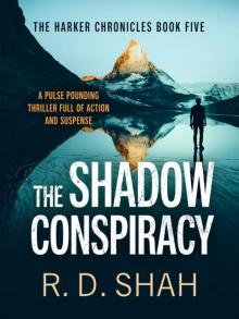 The Shadow Conspiracy