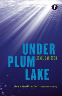 Under Plum Lake