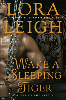 Wake A Sleeping Tiger