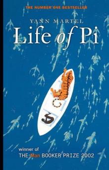 Life of Pi